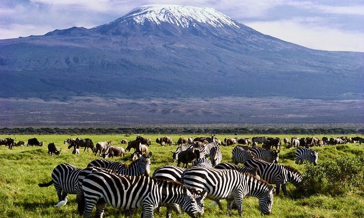 3 Days Mid Range Safari to Amboseli with Mt Kilimanjaro