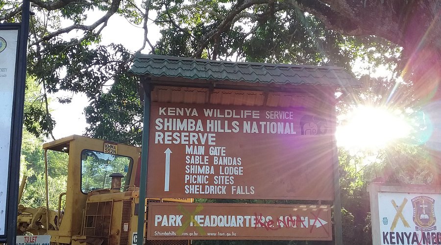 Day Excursion At Shimba Hills National Park