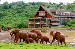 Cool Retreat in the Highlands- Affordable Weekend Getaways in Kenya