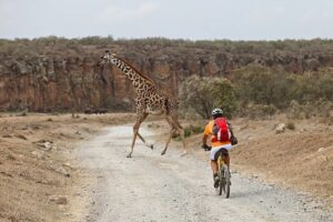 Adventure on Foot or Bike