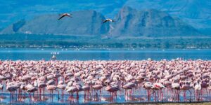 Elementaita – Hidden Gem by the Lake