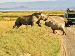 Nanyuki – Scenic Views