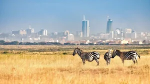 Safari at the City’s Edge- Best Tourist Destinations in Kenya