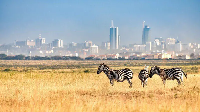 safari company in Nairobi