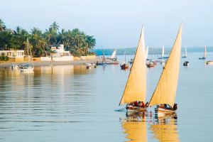 Affordable Coastal Culture