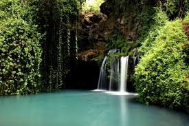 Ngare Ndare Forest- Hidden Gems in Kenya