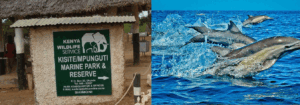 Kenya’s Hidden Underwater Treasure