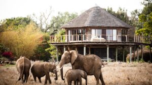 best tours and travel companies in kenya