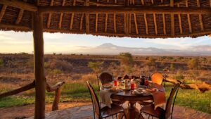 Kenya Safari