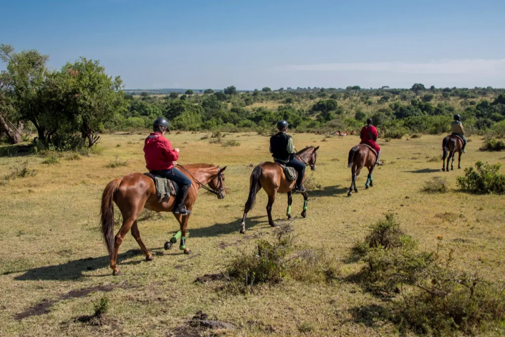 Horse Riding