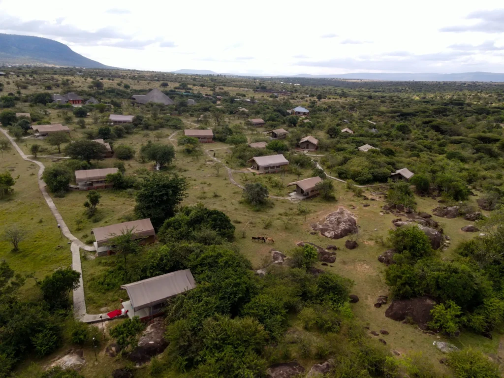 Great Migration — image 3