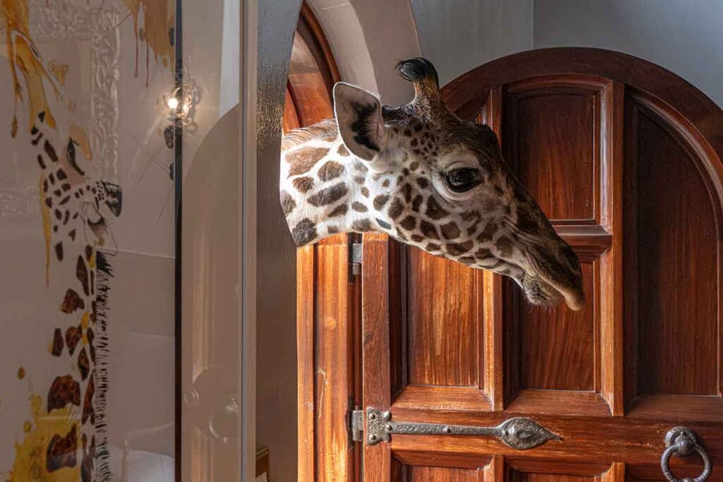 4 Day Nairobi Giraffe Manor and Masai Mara Fly Inn Taster