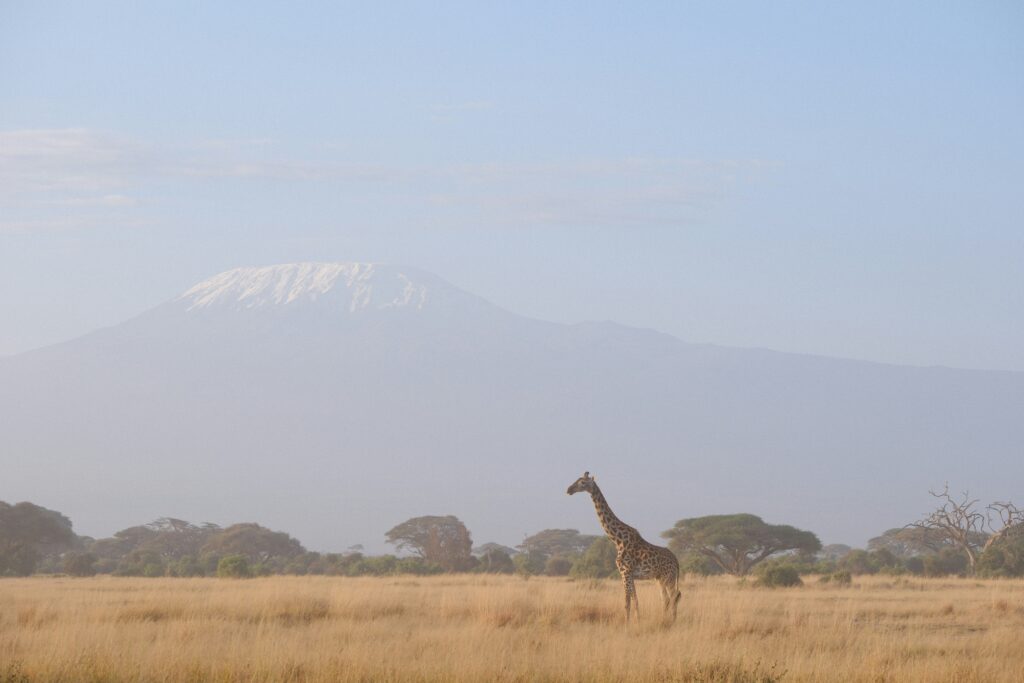 3 Days Safari Amboseli National Park with Mount Kilimanjaro