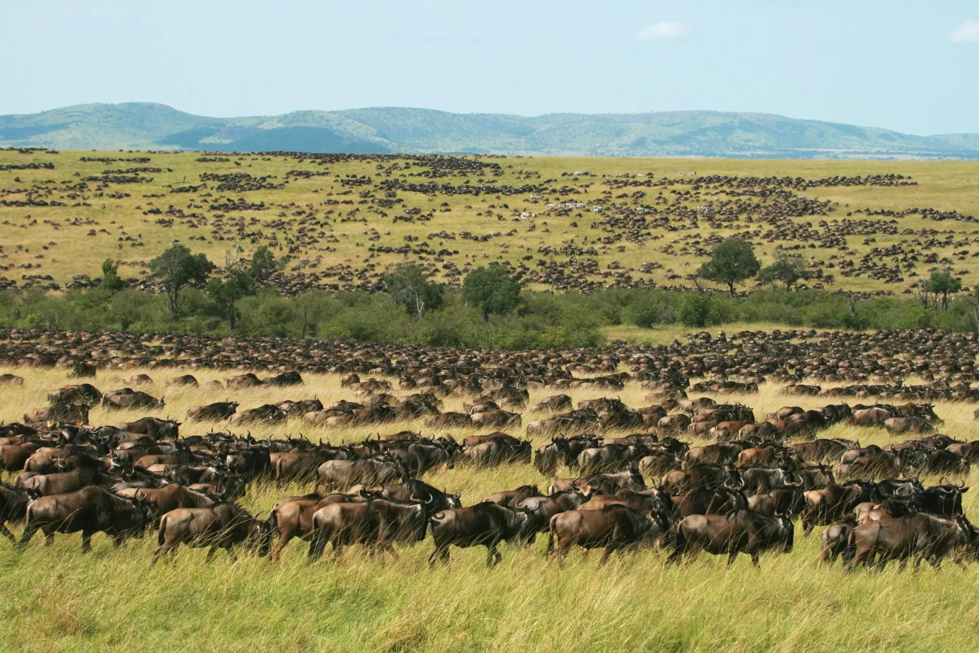 Great Migration
