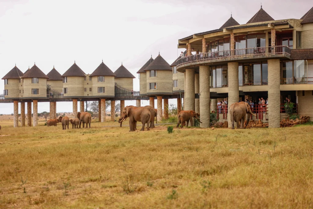 Salt Lick Safari Lodge, Taita Hills Wildlife Sanctuary