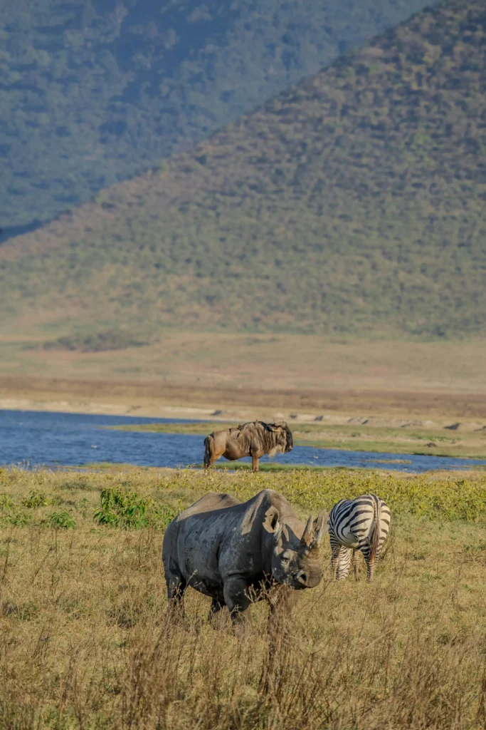 Ngorongoro Crater