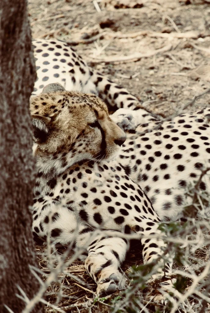 Arusha National Park