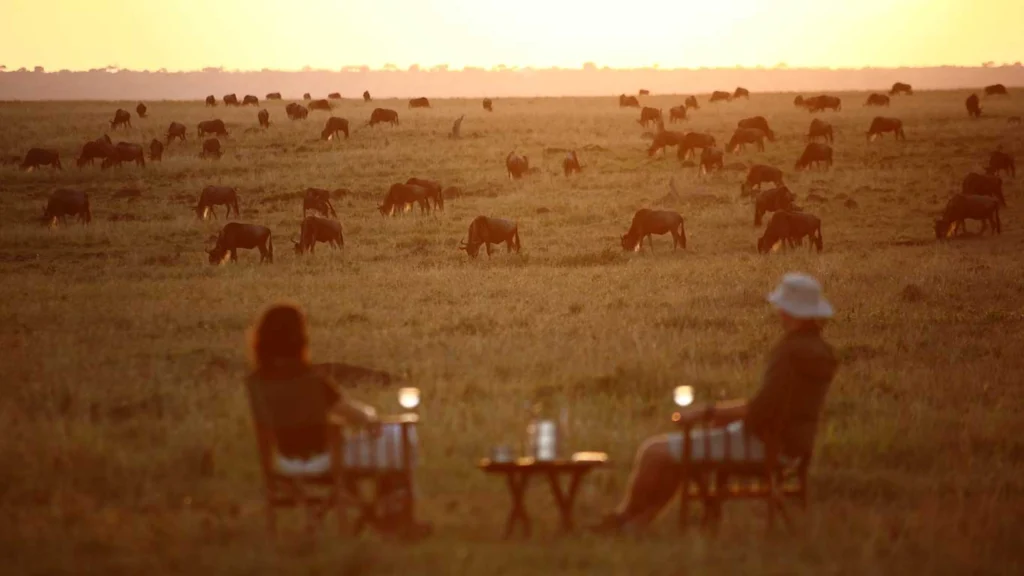 Sundowner Drinks