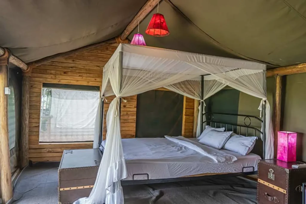 Serengeti Heritage Luxury Camp, Serengeti National Park