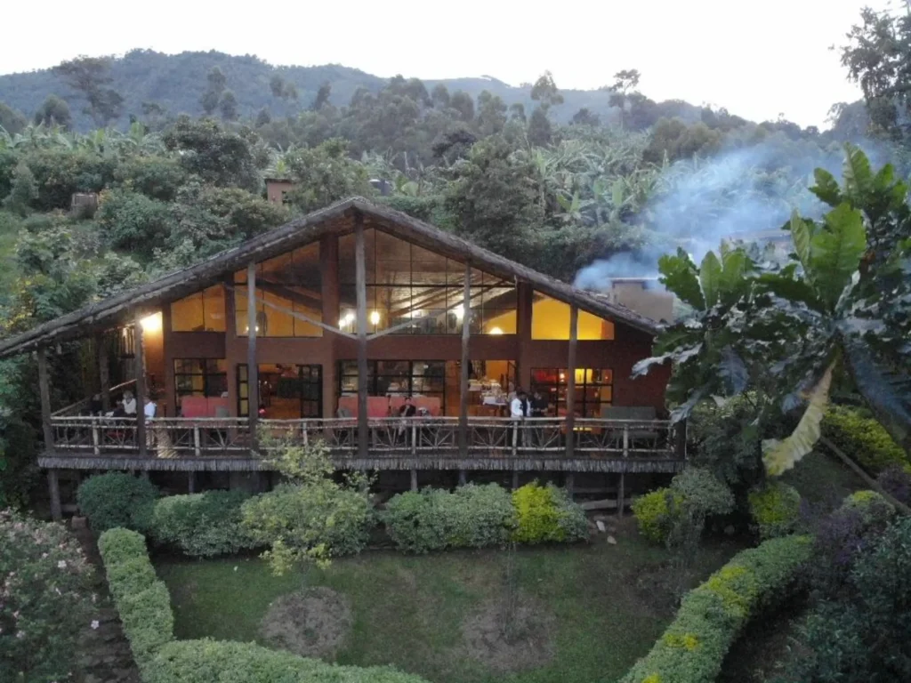 Gorilla Trekking — image 6