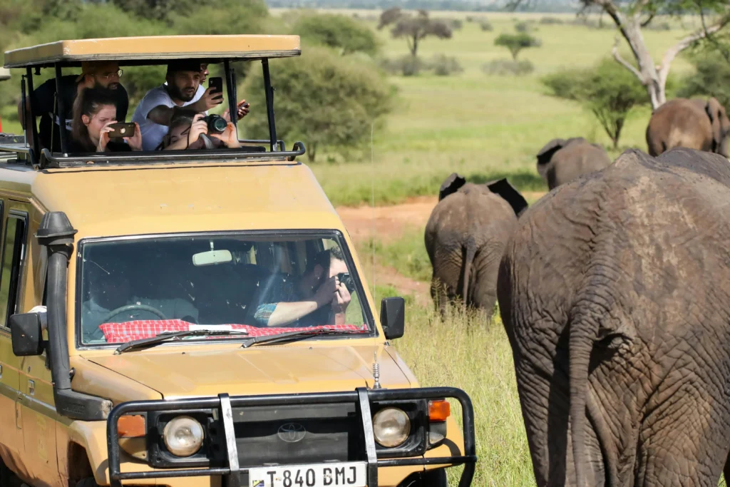 While never guaranteed, this specific route visits the areas where lions, leopards, elephants, buffalo, and rhino are most commonly found.