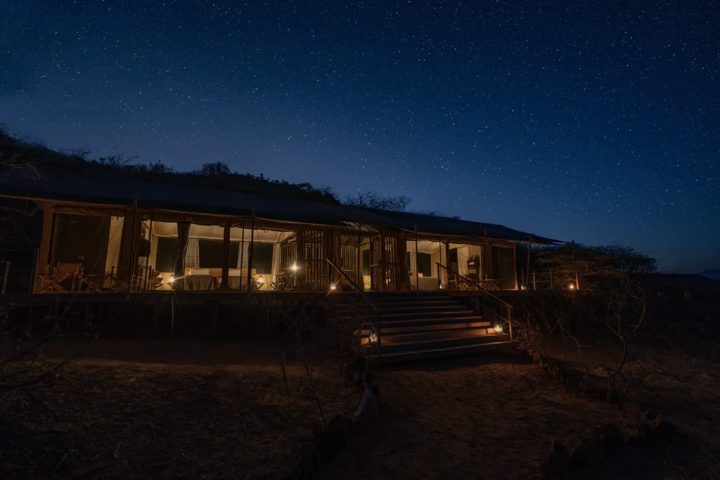 Night Game Drives
