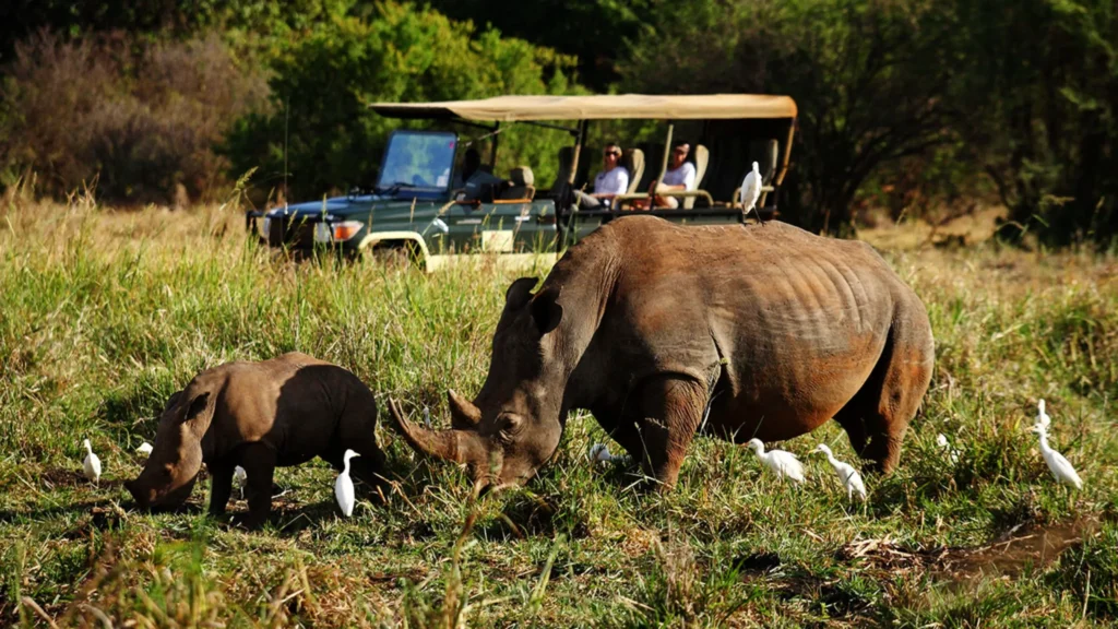 7-Day Samburu & Masai Mara Luxury Fly Inn Safari