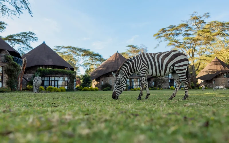 3-Day Lake Naivasha Girls Trip