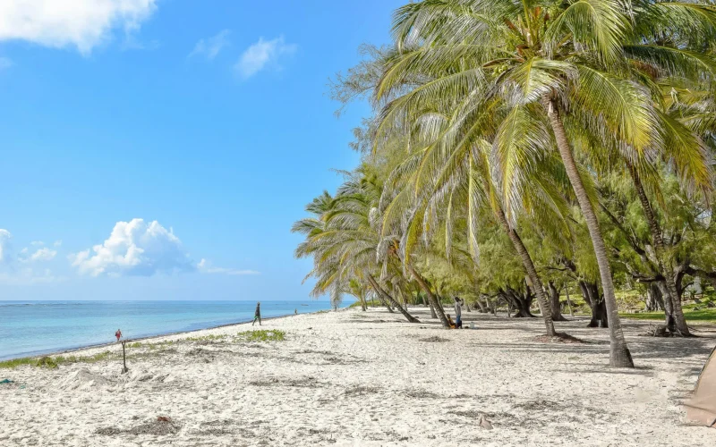 4-Day Mombasa Friends Beach Trip