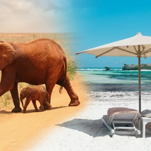 7-Day Amboseli, Taita Hills & Mombasa Coast Adventure