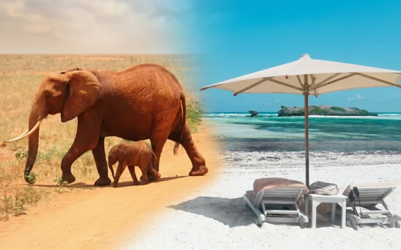 7-Day Amboseli, Taita Hills & Mombasa Coast Adventure