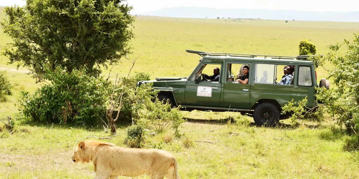 best tours and travel companies in nairobi