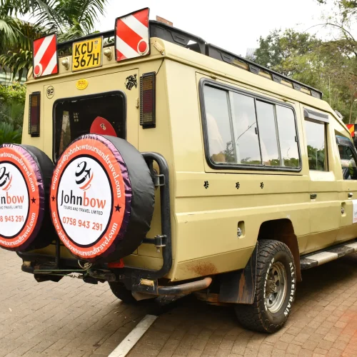3-Day Tsavo East & West Safari