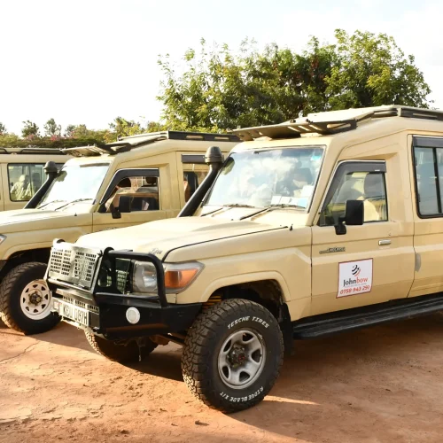 10-Day Laikipia, Masai Mara & Lamu Safari and Beach Escape