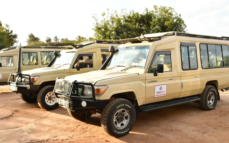 10-Day Laikipia, Masai Mara & Lamu Safari and Beach Escape