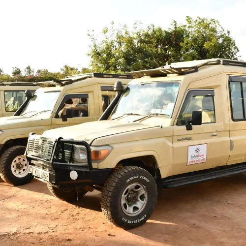 10-Day Laikipia, Masai Mara & Lamu Safari and Beach Escape