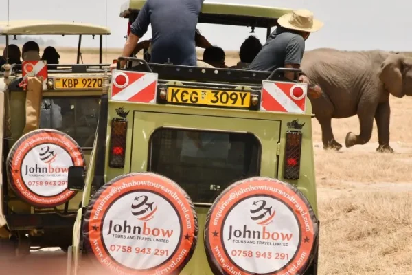 3-Day Angama Mara Signature Fly-In Safari – Masai Mara