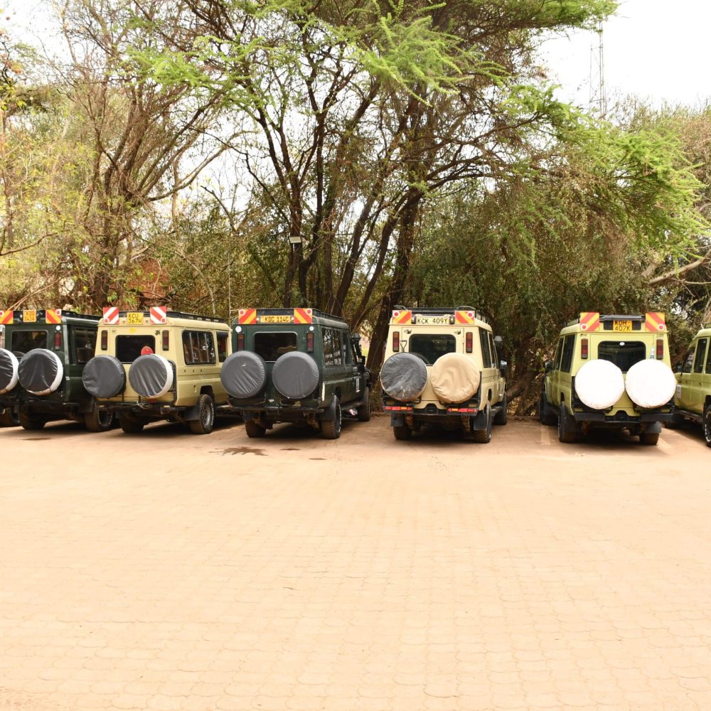 travel agency in Kenya