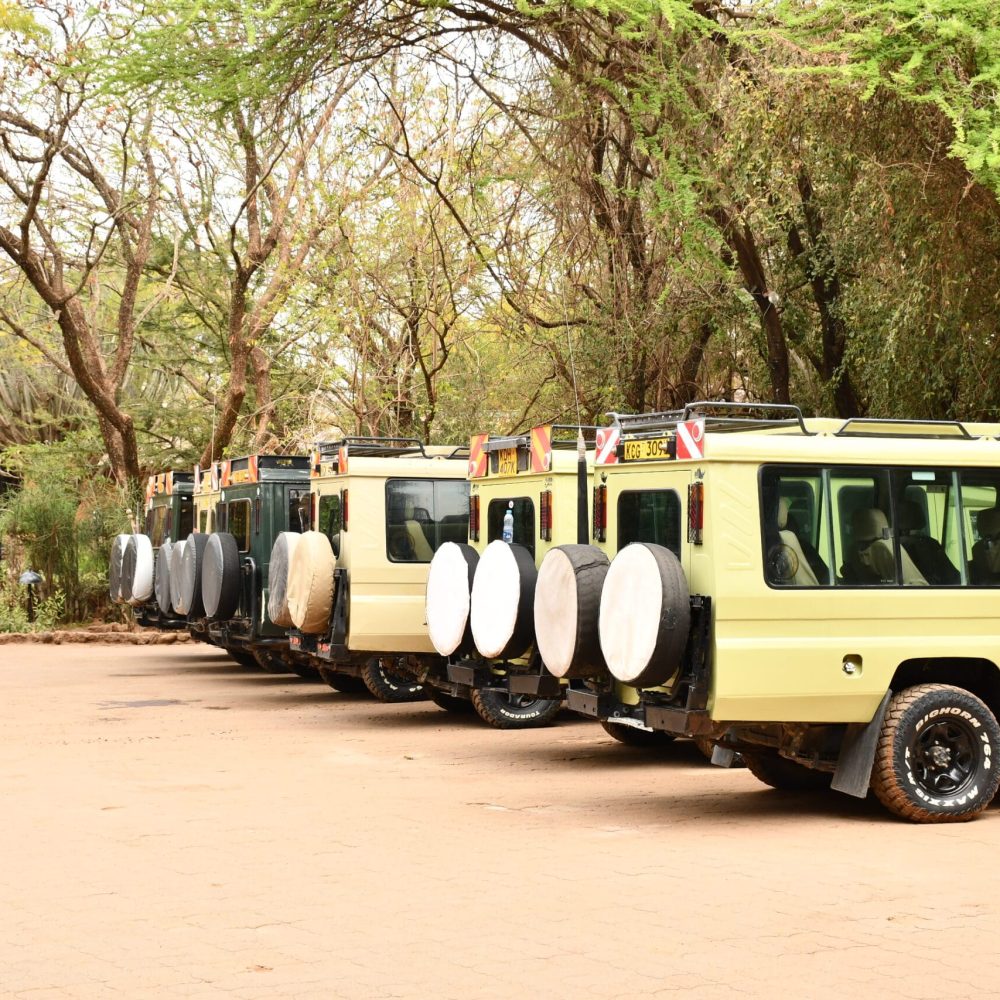 best travel agency in Kenya