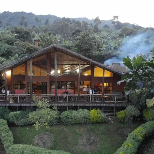 Mahogany Springs Lodge, Bwindi Impenetrable Forest
