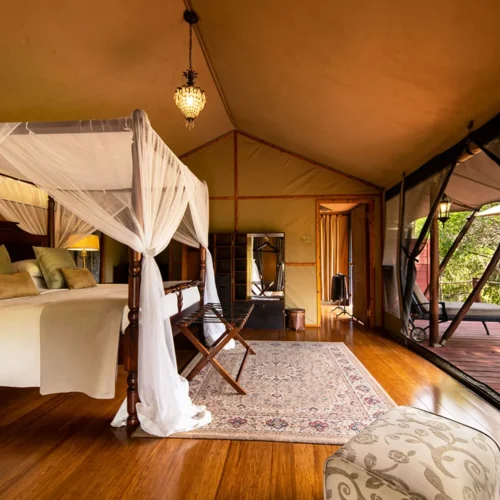 3-Day Masai Mara Family Safari