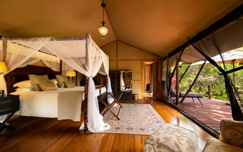 3-Day Masai Mara Family Safari