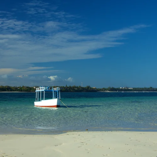 1-Day Mombasa Marine Park Snorkeling & Glass-Bottom Boat tour