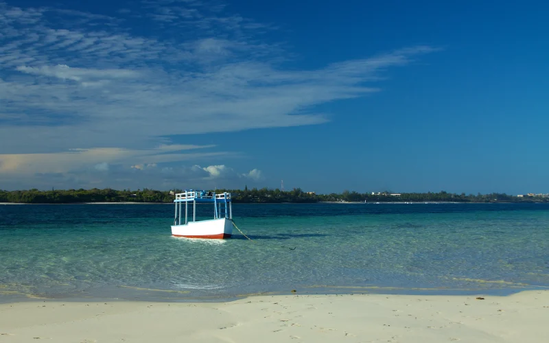 1-Day Mombasa Marine Park Snorkeling & Glass-Bottom Boat tour