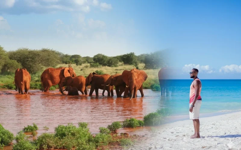 6-Day Tsavo West, Taita Hills & Diani Safari & Beach Holiday