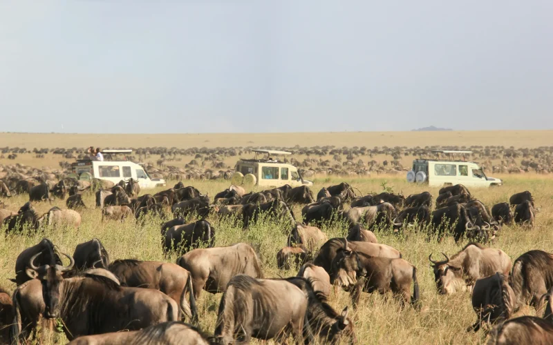 9-Day Kenya and Tanzania Big Five Safari