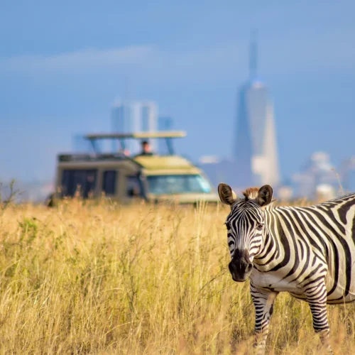 Nairobi NP