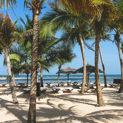 1-Day Malindi/Watamu Marine Park Snorkeling & Glass-Bottom Boat Getaway