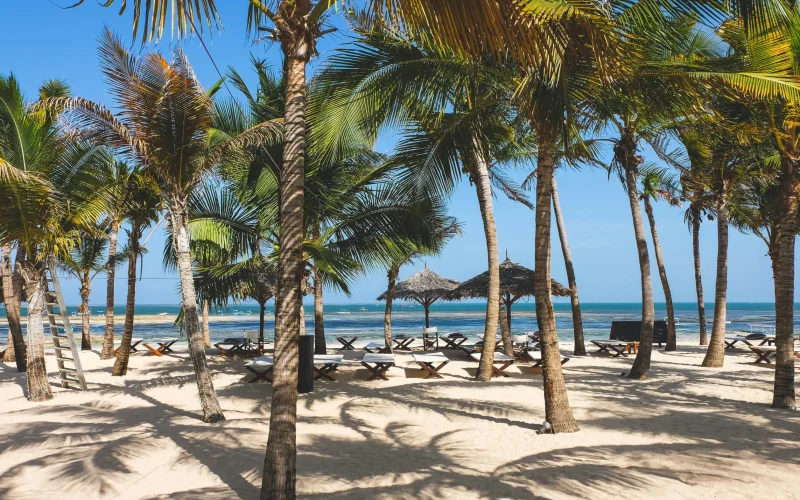 1-Day Malindi/Watamu Marine Park Snorkeling & Glass-Bottom Boat Getaway