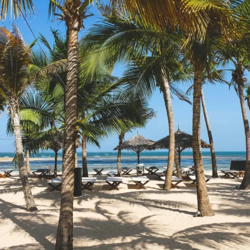 1-Day Malindi/Watamu Marine Park Snorkeling & Glass-Bottom Boat Getaway